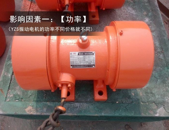 直線振動(dòng)篩電機(jī) 直線振動(dòng)篩電機(jī)