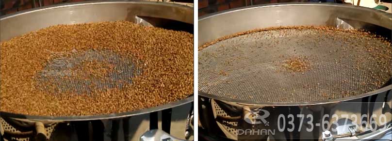 黑苦蕎茶除雜振動篩 黑苦蕎茶除雜振動篩